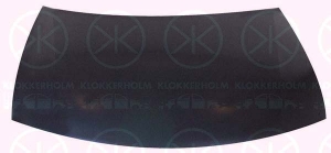 9539280A1 Konepelti